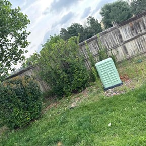 Bush Trimming by martinovich & sons reviewed on June 5, 2022