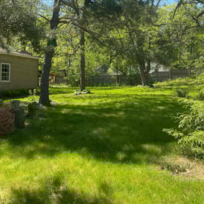 Leaf Removal by Affordable Property Maintenance and Landscaping reviewed on May 21, 2025