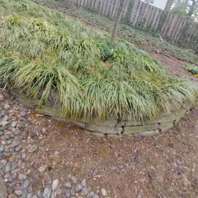 Leaf Removal by ATM reviewed on May 9, 2022