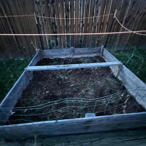 Flower Bed Weeding by H&S Services reviewed on May 28, 2022