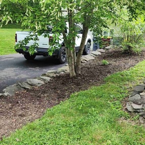 Cleanups by Harvey Handy & Lawn reviewed on May 29, 2025