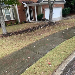Leaf Removal by Creative landscaping reviewed on January 15, 2022