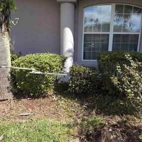 Bush Trimming by Arctic plowing & lawn care llc reviewed on June 13, 2022
