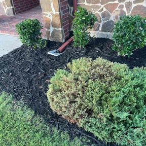 Mulching by Epic Lawn Care reviewed on May 18, 2020