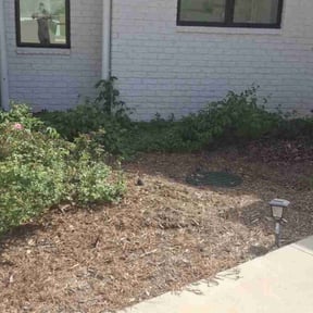 Weeding by Year Round Landscape reviewed on August 15, 2024