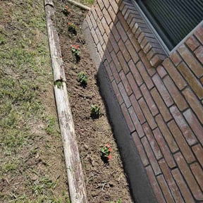 Landscaping by Rodriguez Gardening reviewed on September 13, 2021