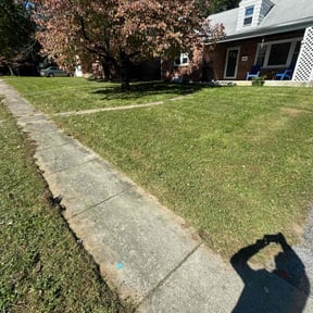 Cleanups by Green land Nola LLC reviewed on July 17, 2022