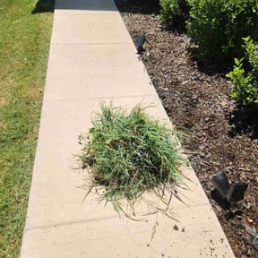 Flower Bed Weeding by lawn care reviewed on August 28, 2020