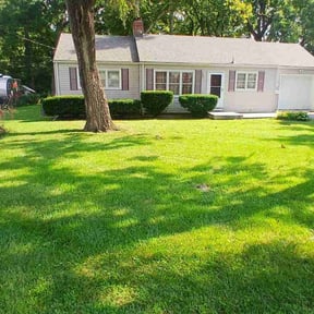 Leaf Removal by Lion&#039;s Heart Lawn Care reviewed on March 18, 2025