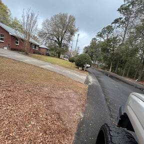 Bush Trimming by Lawn care reviewed on May 25, 2022
