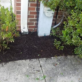 Mulching by :) B.and.B :) reviewed on August 22, 2024