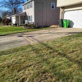 Leaf Removal by JA Performance Outdoor Services reviewed on July 8, 2022