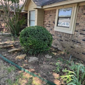 Bush Trimming by Emerald Lawns reviewed on June 23, 2025