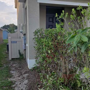 Bush Trimming by The Backyard Barbers reviewed on June 2, 2022