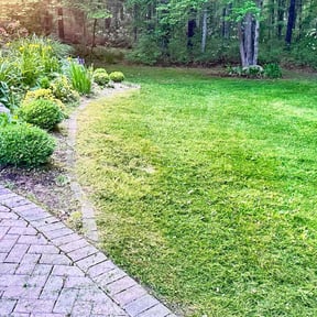 Cleanups by Grass Control Landscape & Maintenance LLC reviewed on July 4, 2022