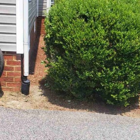 Leaf Removal by Four Seasons Nature Care Services reviewed on March 26, 2022