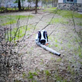 Leaf Removal by ALC Services reviewed on November 25, 2024