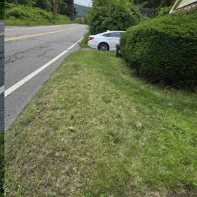 Bush Trimming by Clark on time lawn care reviewed on May 15, 2022