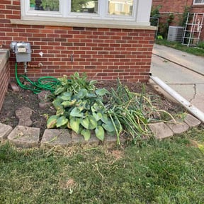 Flower Bed Weeding by SKLandscaping & lawn care reviewed on August 2, 2022