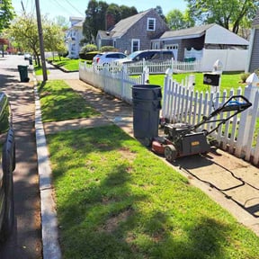 Cleanups by Real Deal Lawn Care LLC reviewed on August 24, 2021