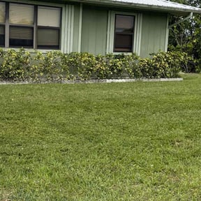 Bush Trimming by ROYCE ART GROUP INC reviewed on July 22, 2025