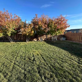 Leaf Removal by Mcdonald Home Services reviewed on June 29, 2022