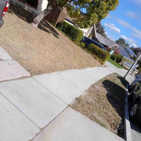 Cleanups by Terra Verde Landscape & Design reviewed on July 8, 2025