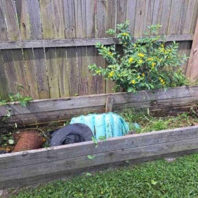 Weeding by A Cut Above Lawn &amp; Landscaping reviewed on April 24, 2025