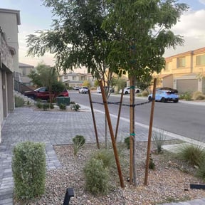 Bush Trimming by Wright Now Landscaping L.L.C reviewed on February 10, 2024