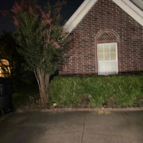 Bush Trimming by 20-20 Lawn Care reviewed on April 3, 2025