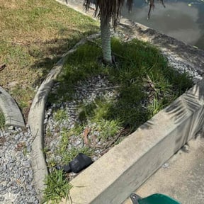 Weeding by R&amp;T H Home Services LLC reviewed on July 9, 2025