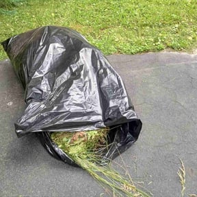 Flower Bed Weeding by Hettie Mae Residential Services llc reviewed on June 19, 2022