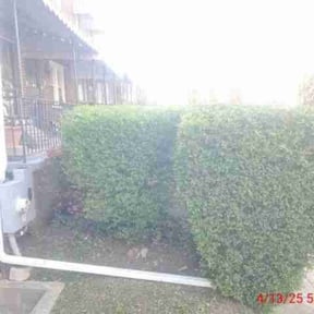 Bush Trimming by QUALITY CUTS reviewed on November 6, 2022