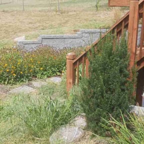Flower Bed Weeding by Two Grasshoppers lawn care. reviewed on June 9, 2025