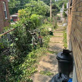 Bush Trimming by Burning River Lawn and Landscape LLC reviewed on October 17, 2022