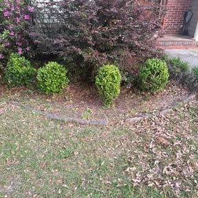 Bush Trimming by Countryside lawn and garden reviewed on March 28, 2025