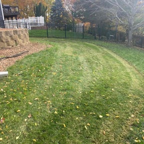 Leaf Removal by soul paseo company reviewed on May 24, 2022
