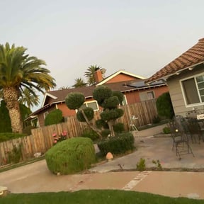 Bush Trimming by Texas Landscape and Tree Experts LLC reviewed on March 26, 2020