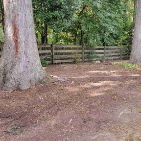 Leaf Removal by Crispy Cuts reviewed on May 13, 2022