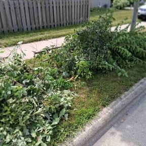 Bush Trimming by Blossom Lawn Care reviewed on May 26, 2025