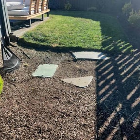 Weeding by RMZ Landscape Services LLC reviewed on May 15, 2025
