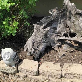 Flower Bed Weeding by Itz Lawn service reviewed on June 24, 2022