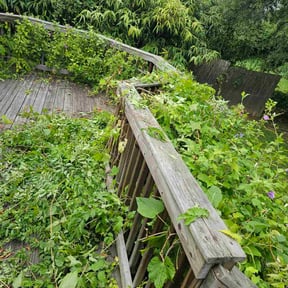 Bush Trimming by SRC Lawn Care reviewed on August 1, 2022