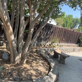 Cleanups by Parra's Lawn Service reviewed on October 10, 2022