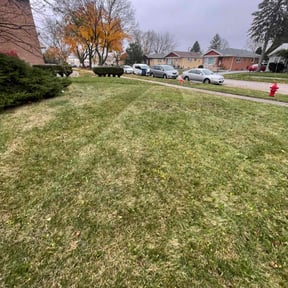 Leaf Removal by Lawn Patrol Landscaping LLC reviewed on July 16, 2022