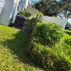 Bush Trimming by MULTIMIL reviewed on June 26, 2025