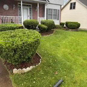 Bush Trimming by Wright Now Landscaping L.L.C reviewed on September 4, 2024