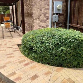 Bush Trimming by Yards Done Daily reviewed on April 28, 2025