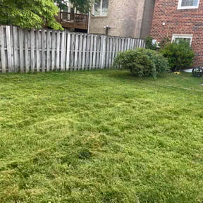 Cleanups by Willie's Mobile Lawn Services reviewed on July 20, 2022