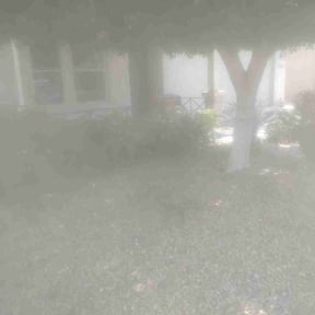 Bush Trimming by Cookes cuts reviewed on April 17, 2023
